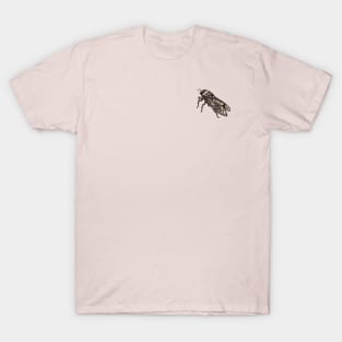 CICADA T-Shirt